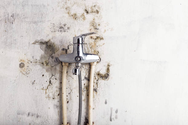 East Berlin, PA Mold Removal Company