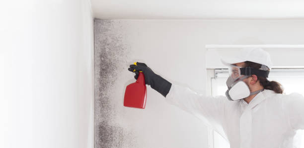 Best Crawl Space Mold Removal  in East Berlin, PA