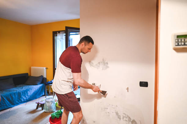 Best Mold Damage Repair  in East Berlin, PA